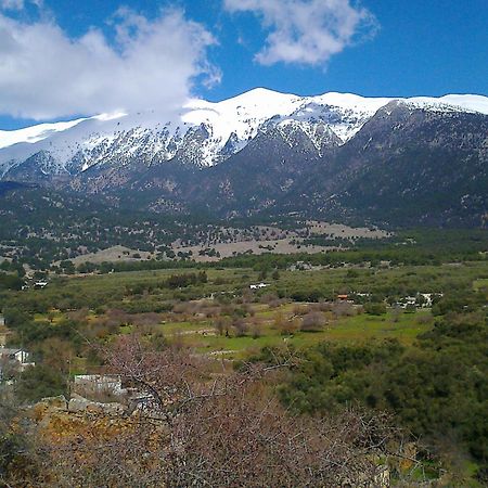 Villa House Fyntikakh - Skala Sinoikismos Kambos Esterno foto